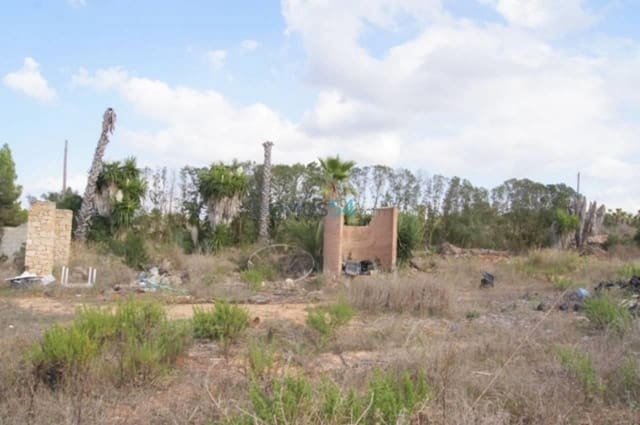 Building Plot for sale in Muro - € 233,300 (Ref: 2121269)