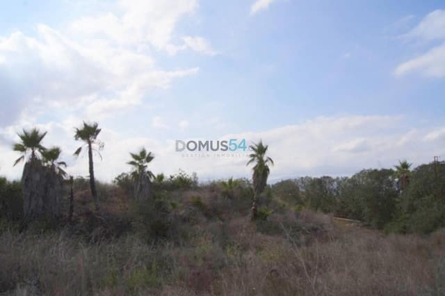 Building Plot for sale in Muro - € 233,300 (Ref: 2121269)