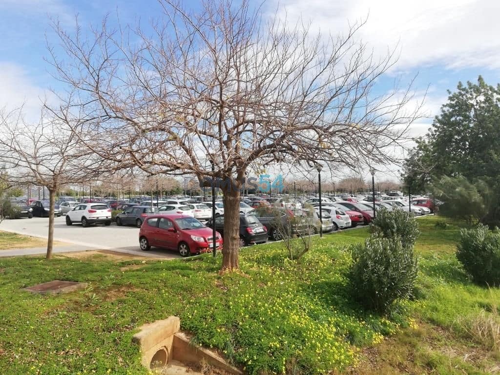 Tontti myytävänä paikassa Palma de Mallorca - 625 700 € (Ref: 6024504)