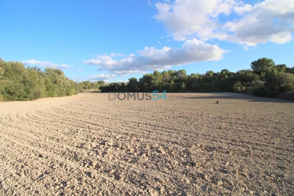 Terreno para Construção para venda em Santa Margalida - 170 000 € (Ref: 6024516)