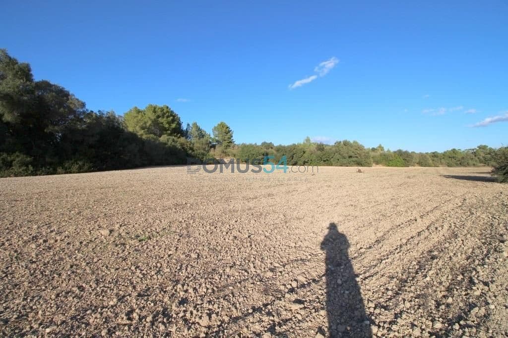 Terreno para Construção para venda em Santa Margalida - 170 000 € (Ref: 6024516)
