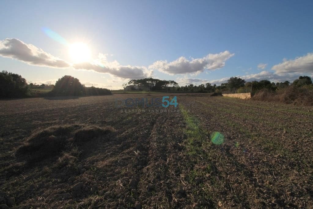 Terreno para Construção para venda em Santa Margalida - 170 000 € (Ref: 6024516)