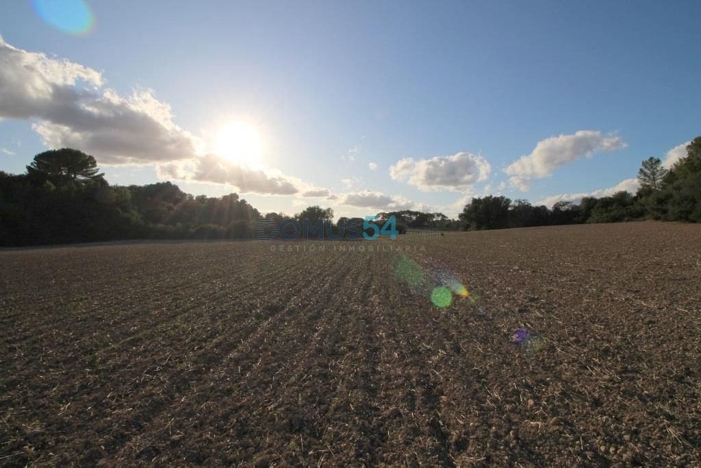 Terreno para Construção para venda em Santa Margalida - 170 000 € (Ref: 6024516)