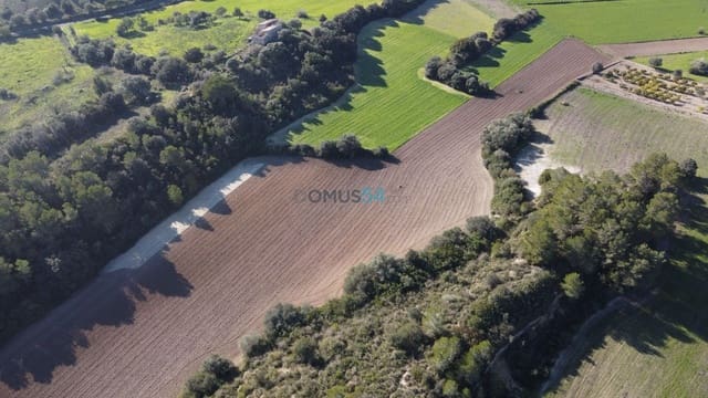 Building Plot for sale in Santa Margalida - € 170,000 (Ref: 6024516)