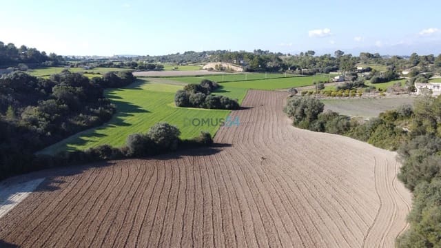 Building Plot for sale in Santa Margalida - € 170,000 (Ref: 6024516)