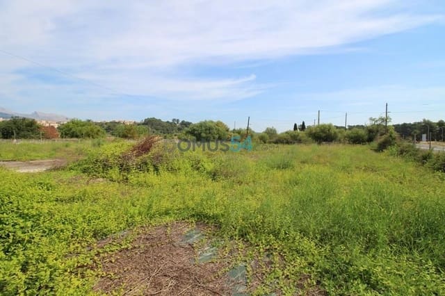 Grunde uden byggetilladelser til salg i Campanet - € 79.000 (Ref: 6024519)