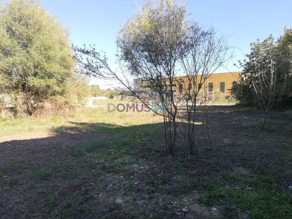 Grunde uden byggetilladelser til salg i Campanet - € 79.000 (Ref: 6024519)