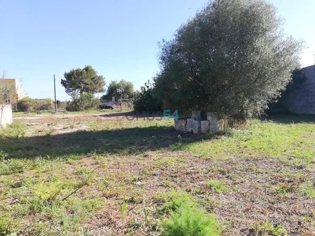 Grunde uden byggetilladelser til salg i Campanet - € 79.000 (Ref: 6024519)