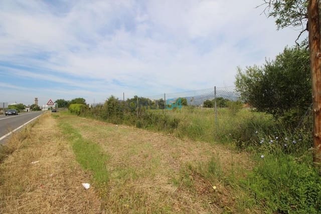 Grunde uden byggetilladelser til salg i Campanet - € 79.000 (Ref: 6024519)