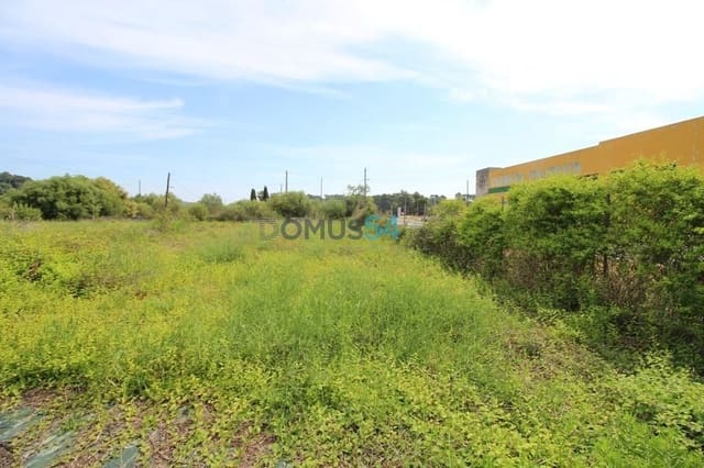 Grunde uden byggetilladelser til salg i Campanet - € 79.000 (Ref: 6024519)