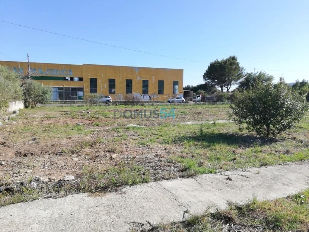 Grunde uden byggetilladelser til salg i Campanet - € 79.000 (Ref: 6024519)