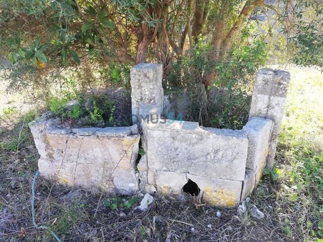 Grunde uden byggetilladelser til salg i Campanet - € 79.000 (Ref: 6024519)