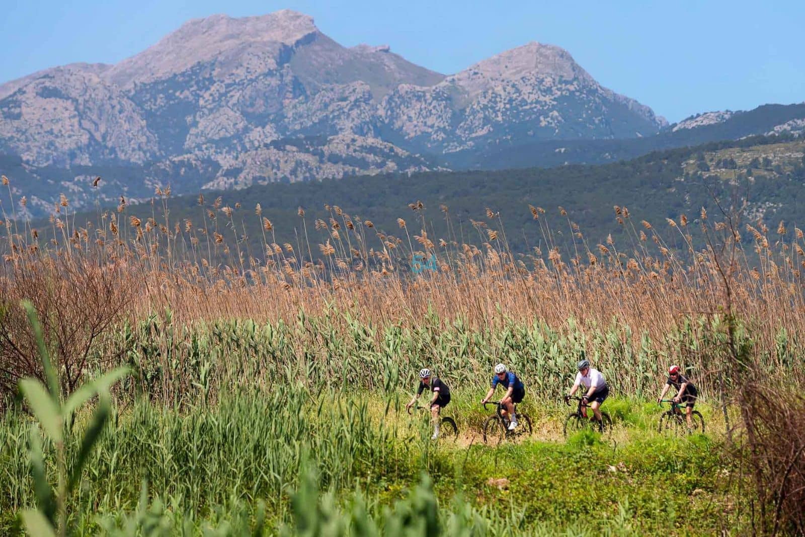 Building Plot for sale in Sa Pobla - € 850,000 (Ref: 6024527)