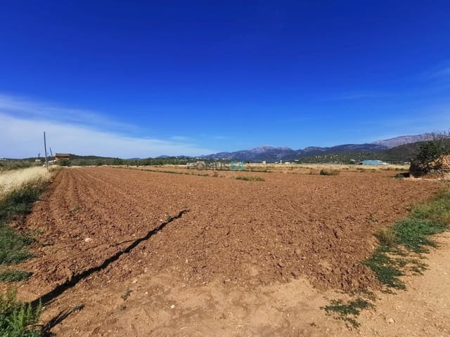 Solar/Parcela en Búger en venta - 212.000 € (Ref: 6119611)