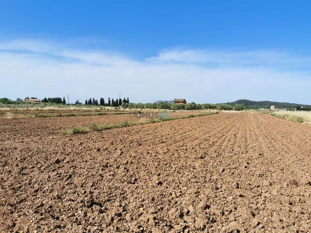 Solar/Parcela en Búger en venta - 212.000 € (Ref: 6119611)