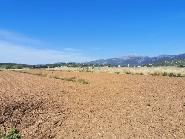 Building Plot for sale in Búger - € 318,000 (Ref: 6119611)