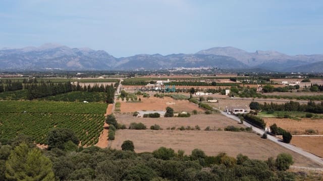 Building Plot for sale in Llubí - € 345,000 (Ref: 6306616)