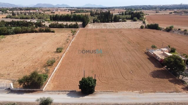 Building Plot for sale in Llubí - € 345,000 (Ref: 6306616)