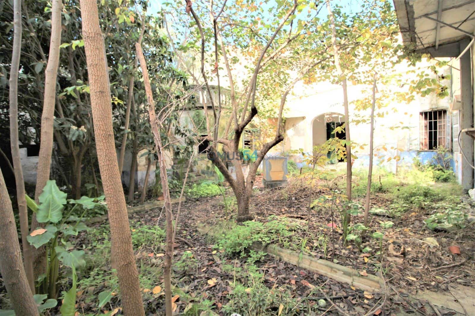 Villa for sale in Sa Pobla - € 600,000 (Ref: 6558753)