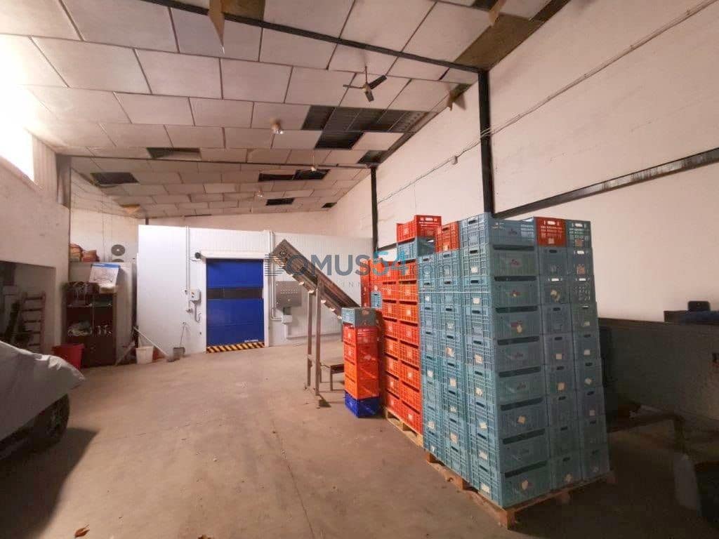 Commerciale in vendita in Sa Pobla - 550.000 € (Rif: 6561317)