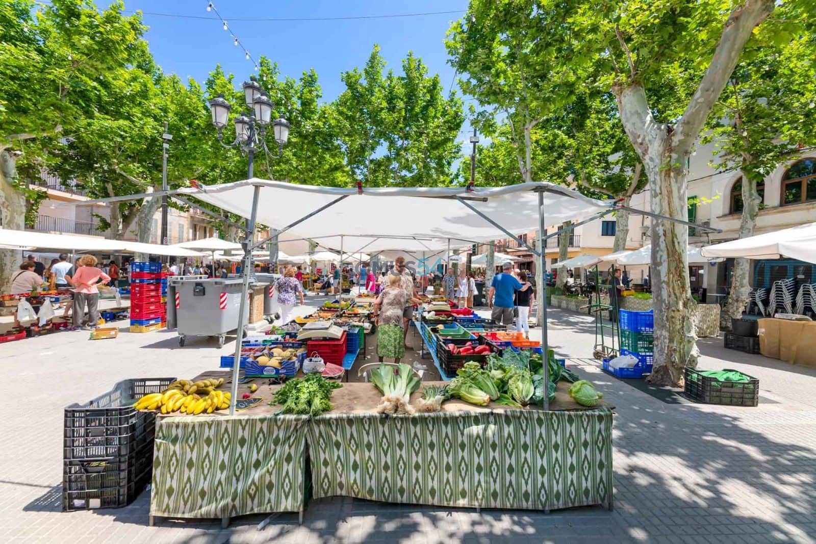 Commerciale in vendita in Sa Pobla - 550.000 € (Rif: 6561317)