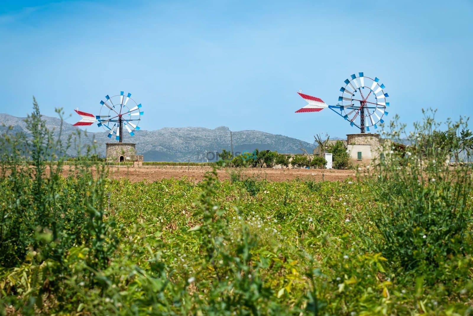 Building Plot for sale in Sa Pobla - € 370,000 (Ref: 6568332)