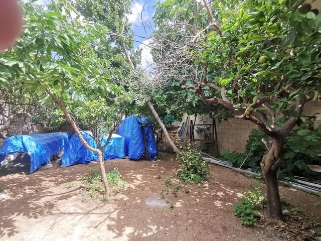 Byggetomt til salgs i Sa Pobla - € 399 000 (Ref: 6973566)