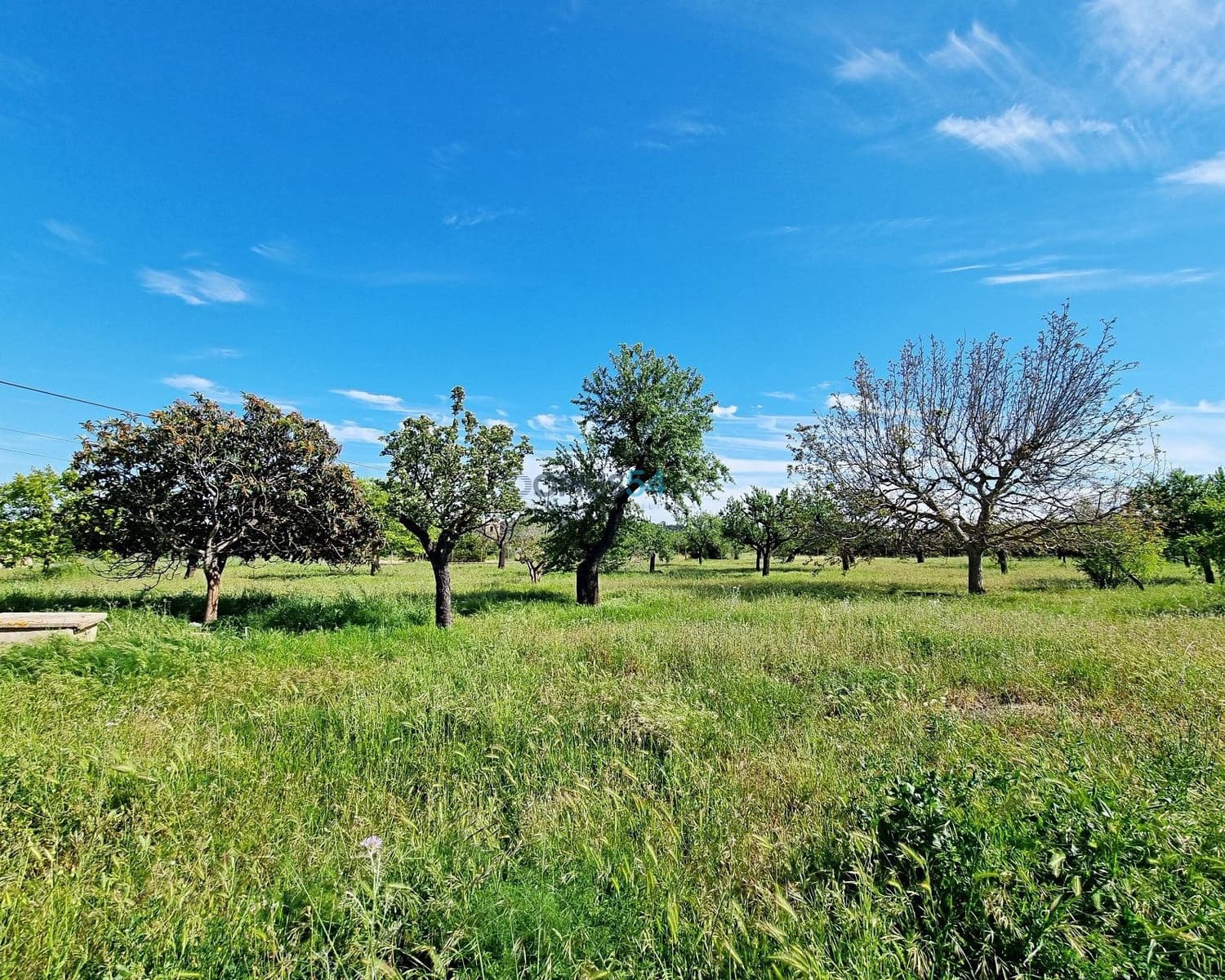 2 slaapkamer Villa te koop in Selva - € 495.000 (Ref: 7533128)