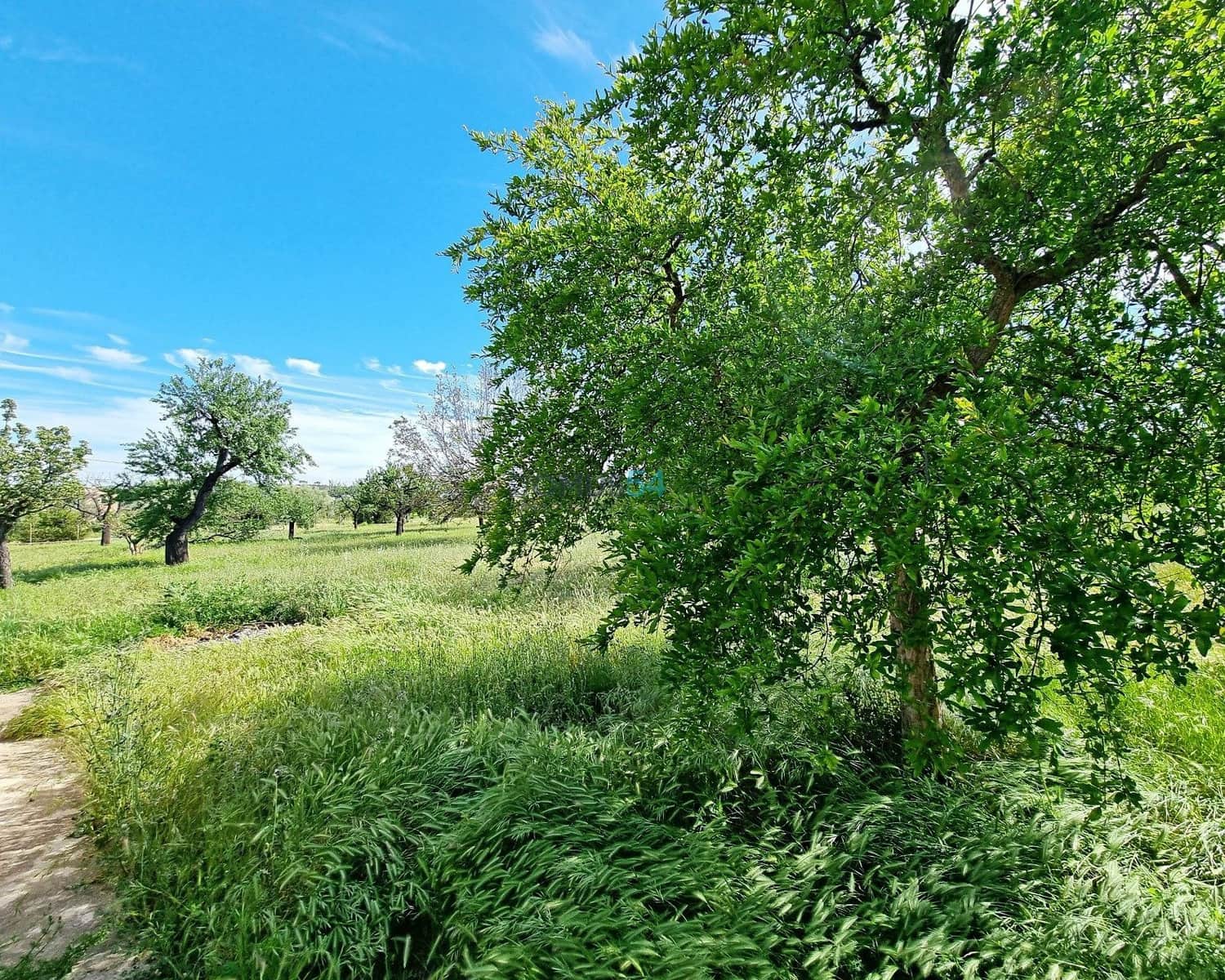 2 slaapkamer Villa te koop in Selva - € 495.000 (Ref: 7533128)