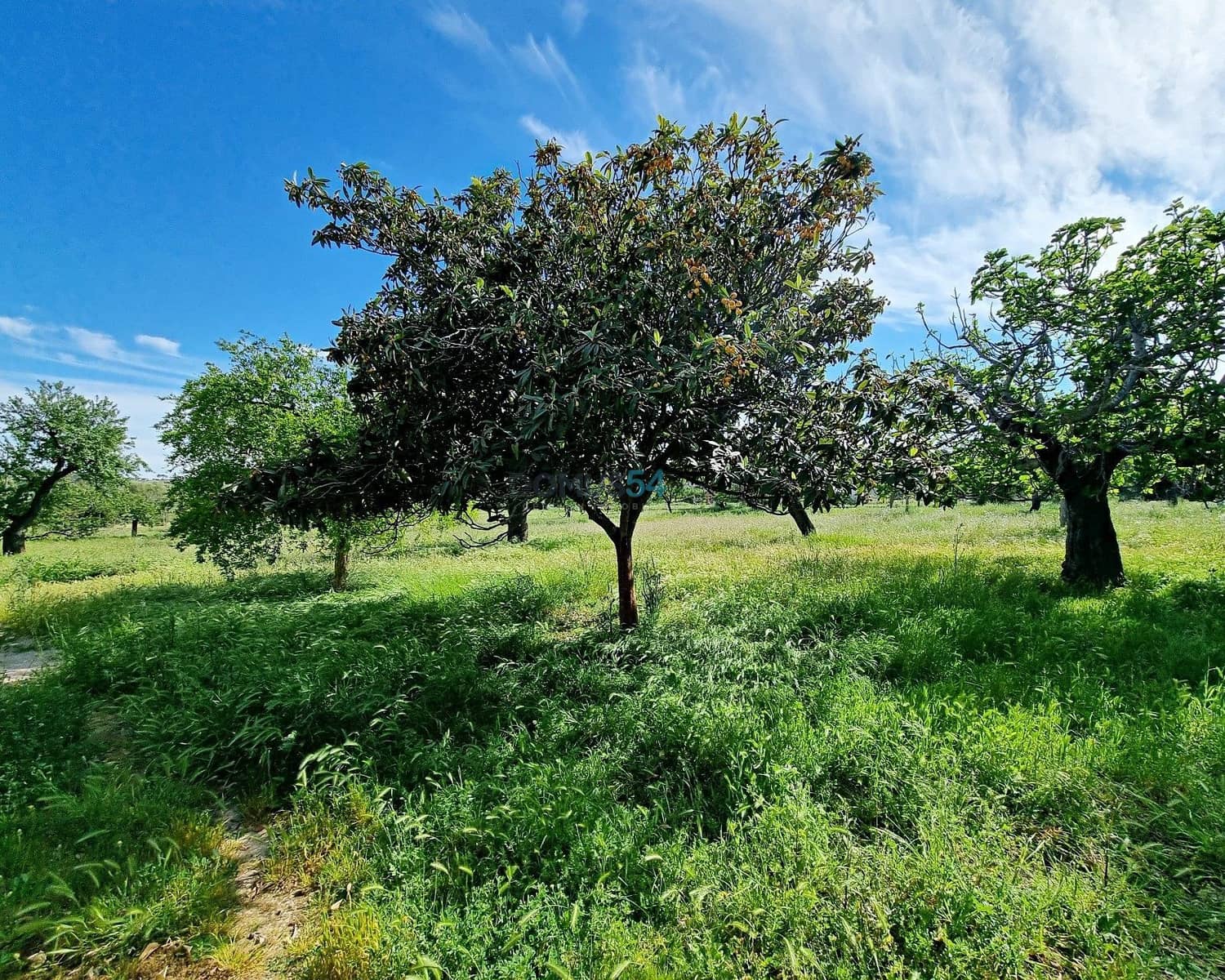 2 slaapkamer Villa te koop in Selva - € 495.000 (Ref: 7533128)