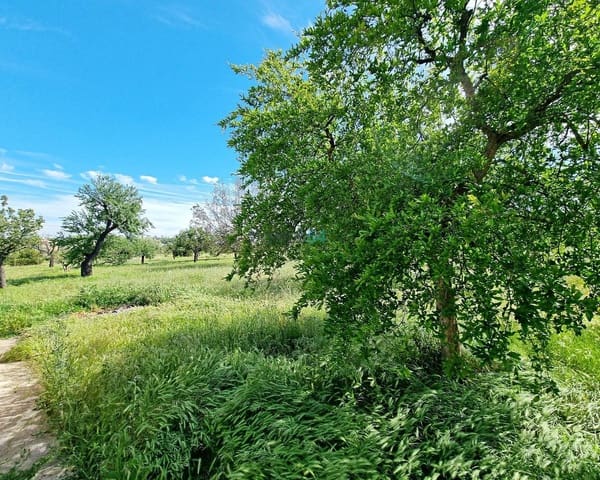 2 slaapkamer Villa te koop in Selva - € 495.000 (Ref: 7533128)