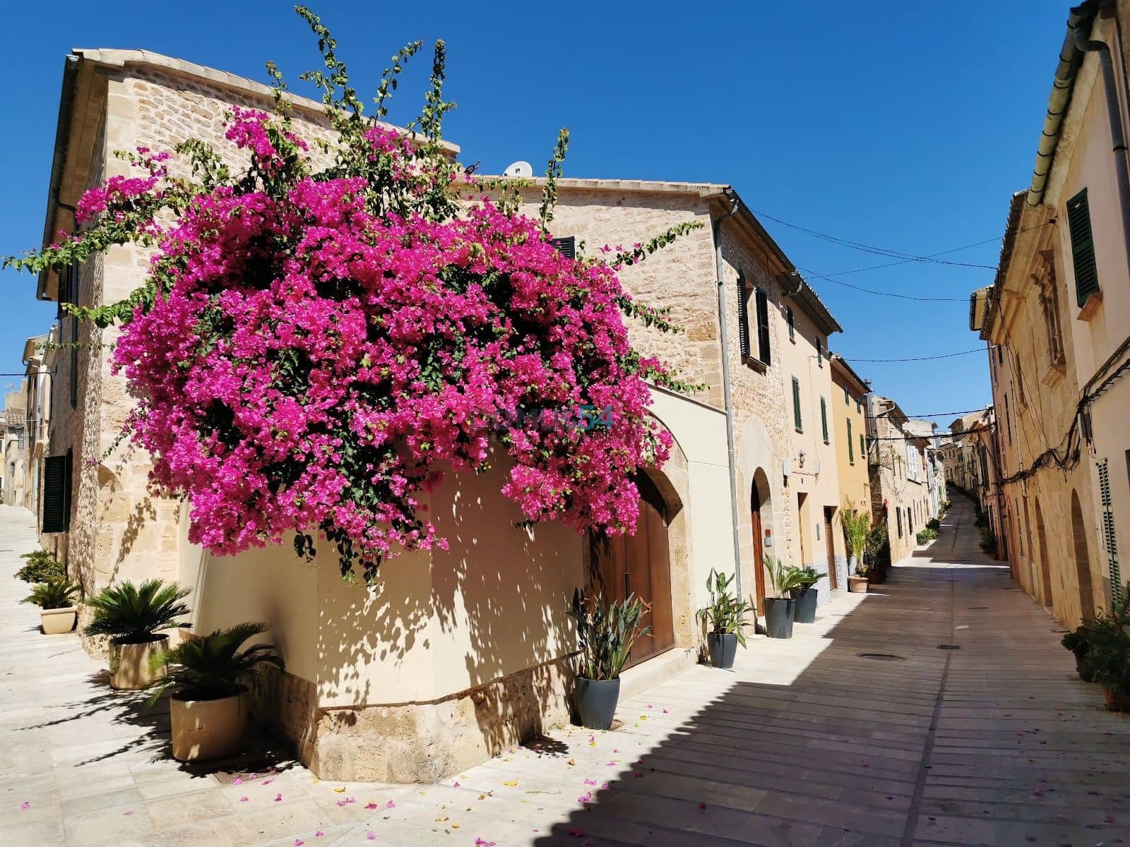 Erhverv til leje i Alcudia - € 5.500 (Ref: 7627516)