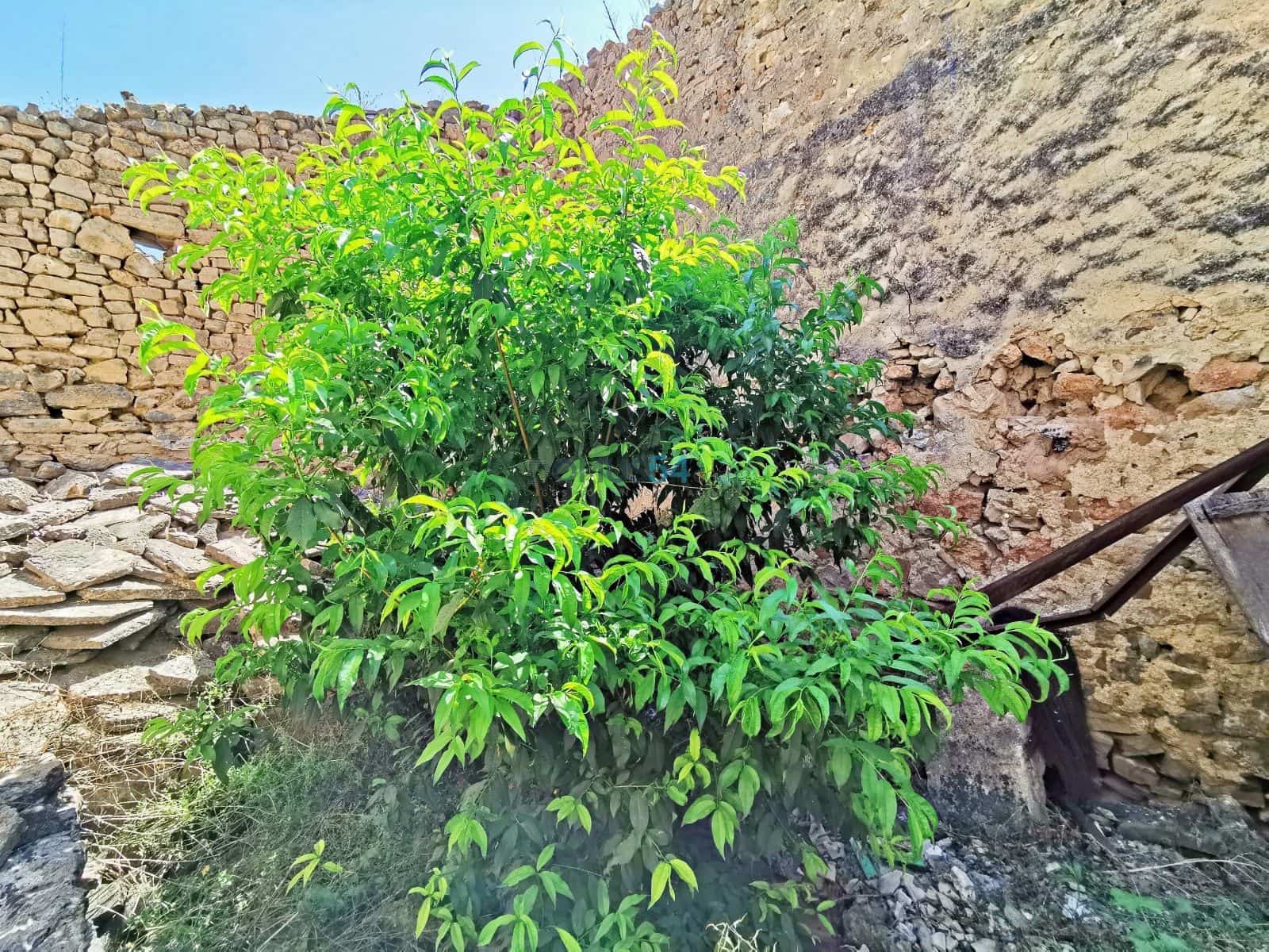 Chalet de 2 habitaciones en Santa Margalida en venta - 360.000 € (Ref: 7690850)