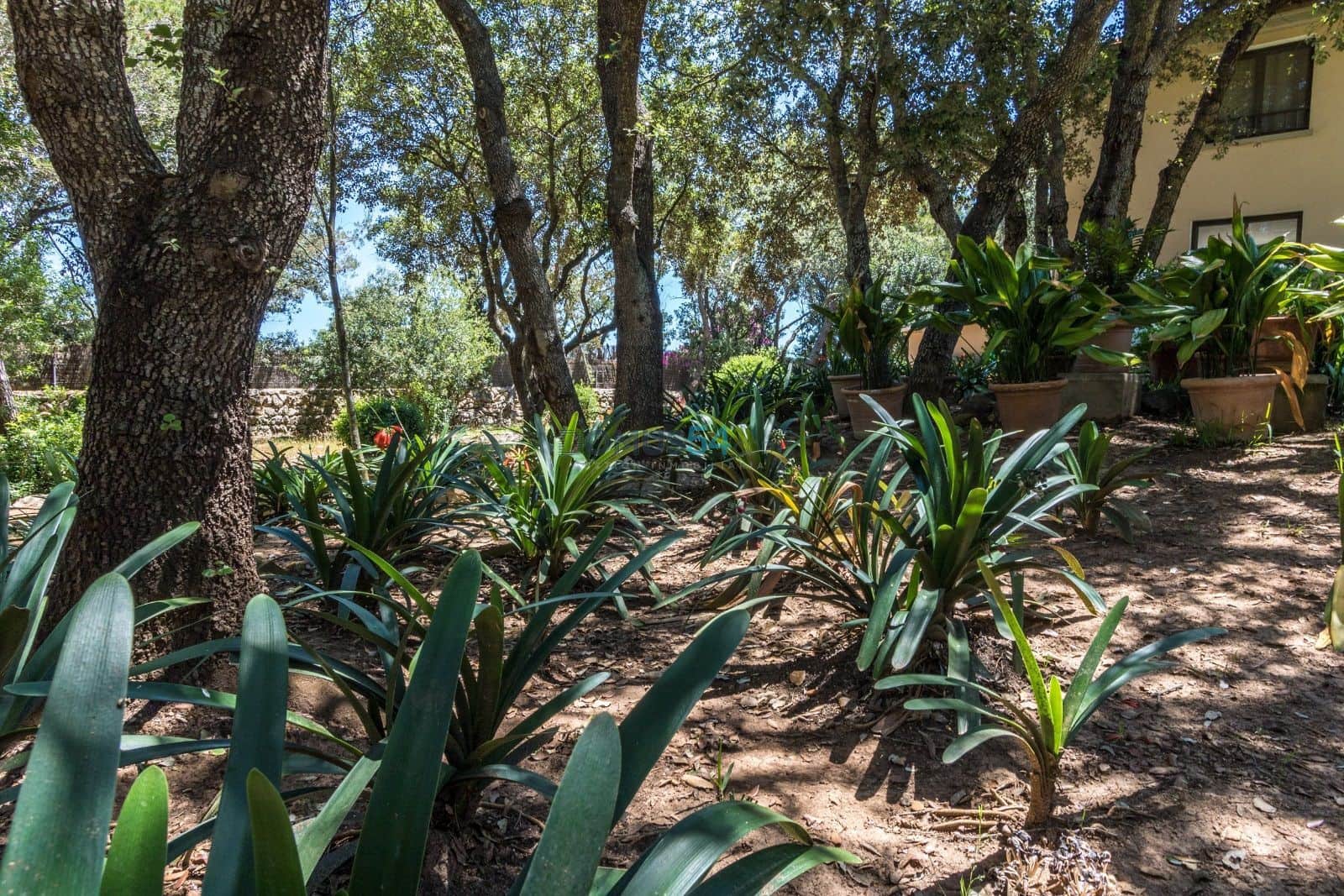 3 soveværelse Villa til salg i Pollensa / Pollenca med swimmingpool - € 1.800.000 (Ref: 7929712)