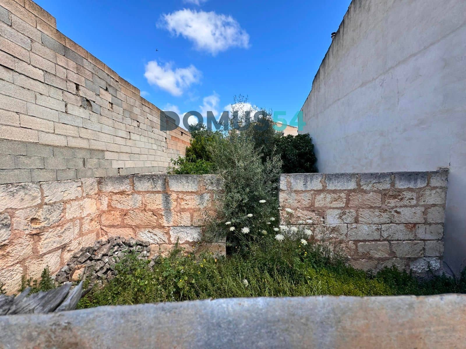 Tontti myytävänä paikassa Sa Pobla - 200 000 € (Ref: 8326549)