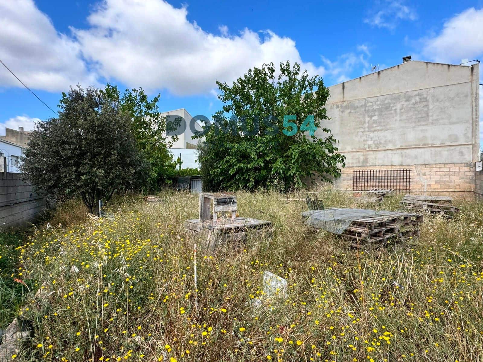 Bauplatz zu verkaufen in Sa Pobla - 250.000 € (Ref: 8326550)