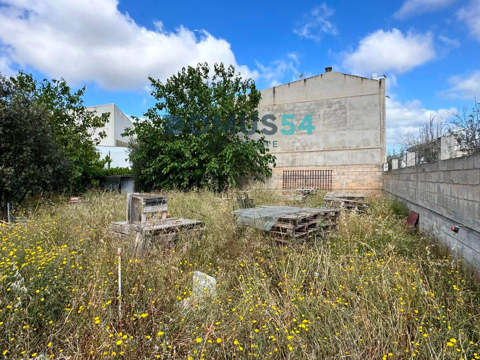 Bauplatz zu verkaufen in Sa Pobla - 250.000 € (Ref: 8326550)