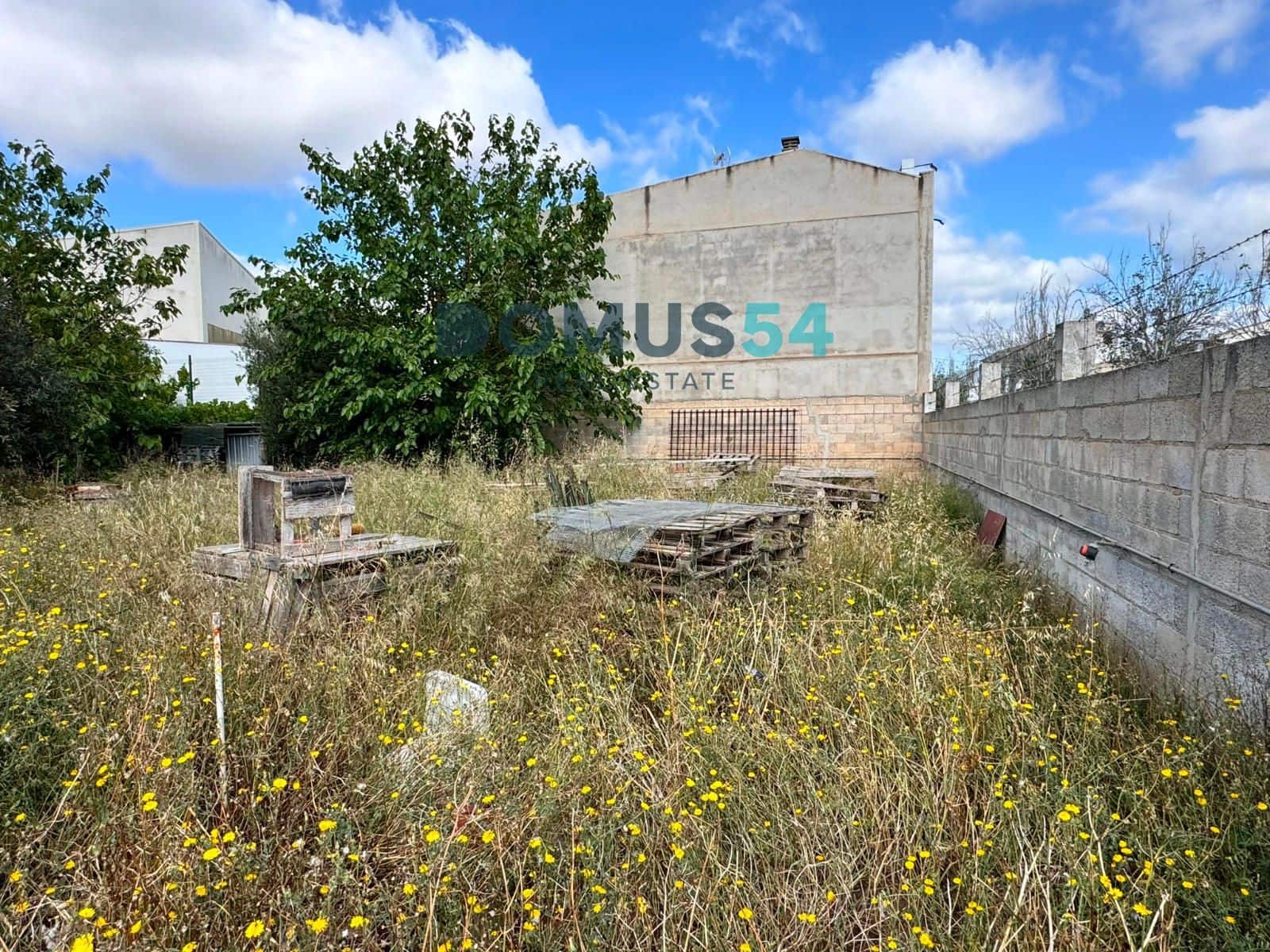 Bauplatz zu verkaufen in Sa Pobla - 250.000 € (Ref: 8326550)