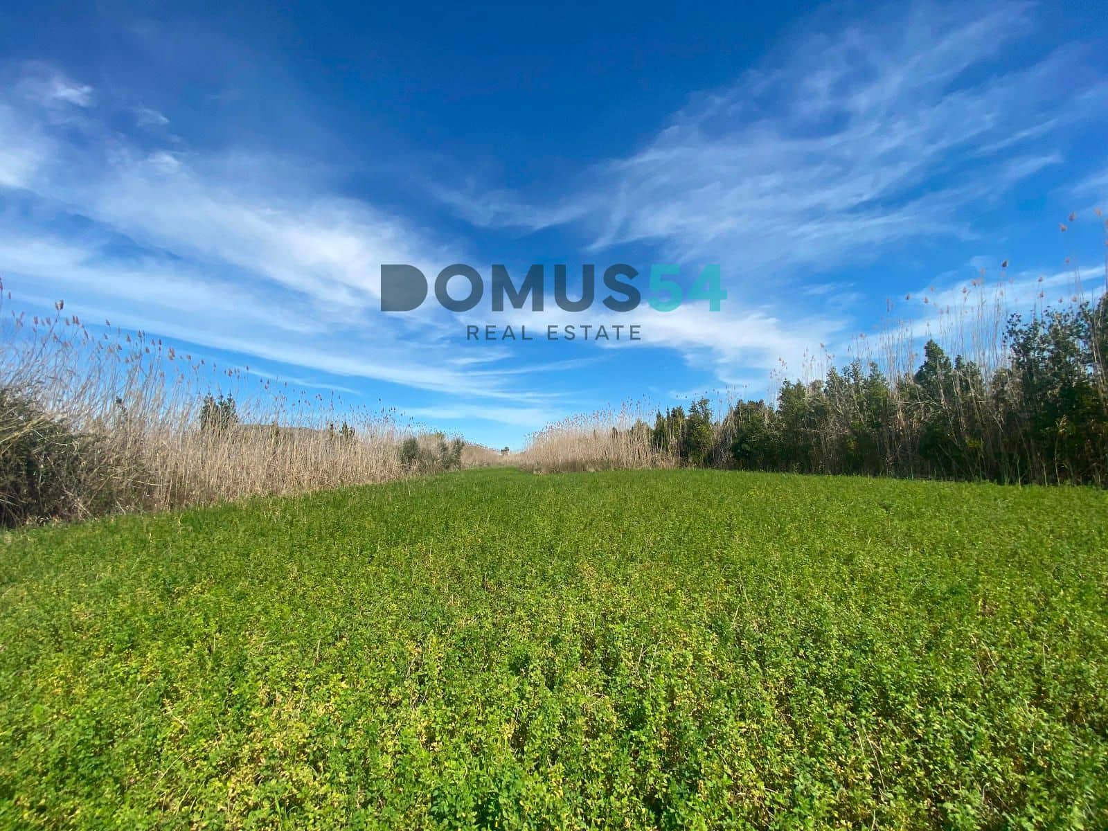 Grunde uden byggetilladelser til salg i Sa Pobla - € 25.000 (Ref: 8408480)