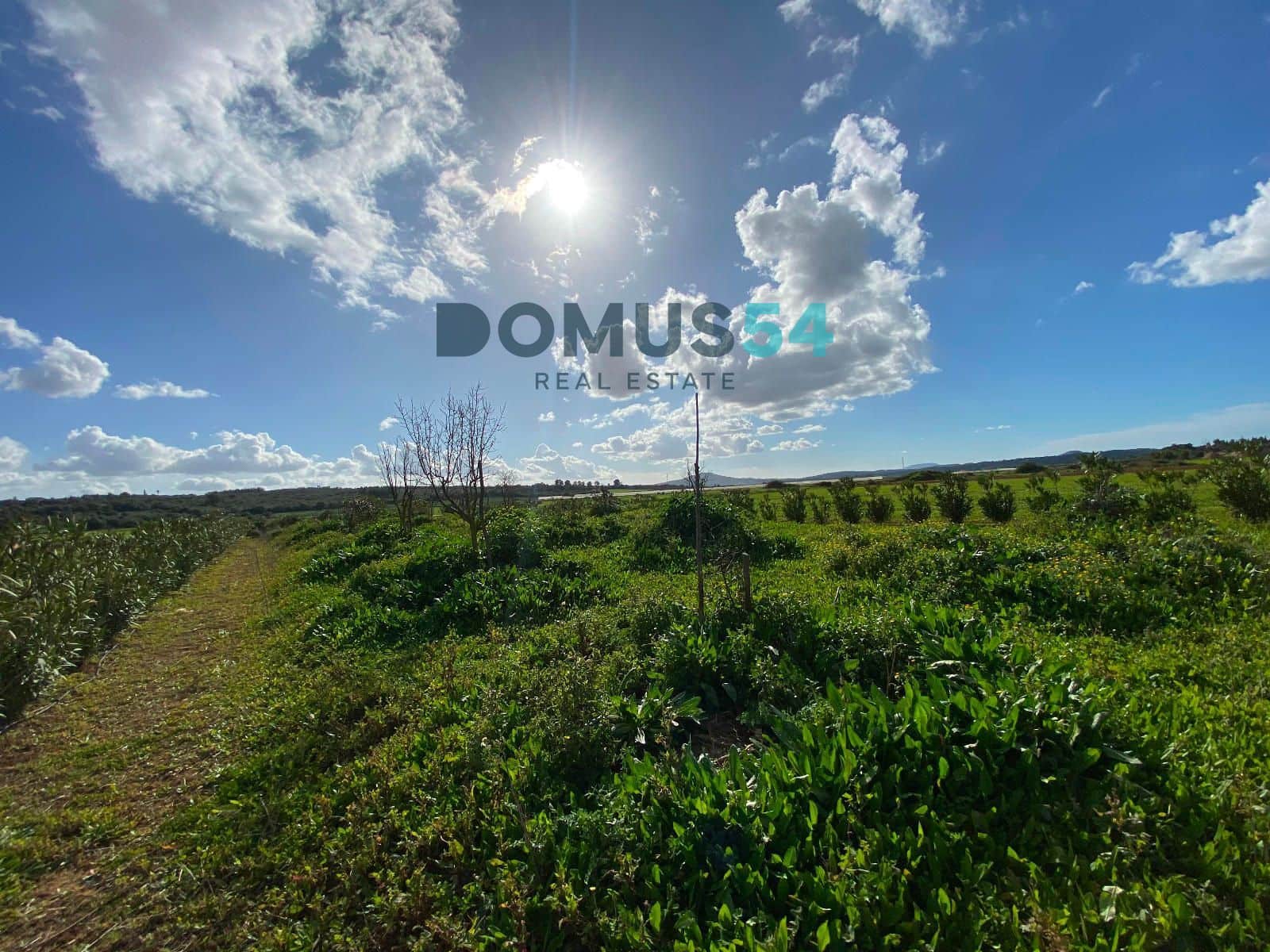 Grunde uden byggetilladelser til salg i Ariany - € 17.000 (Ref: 8800312)