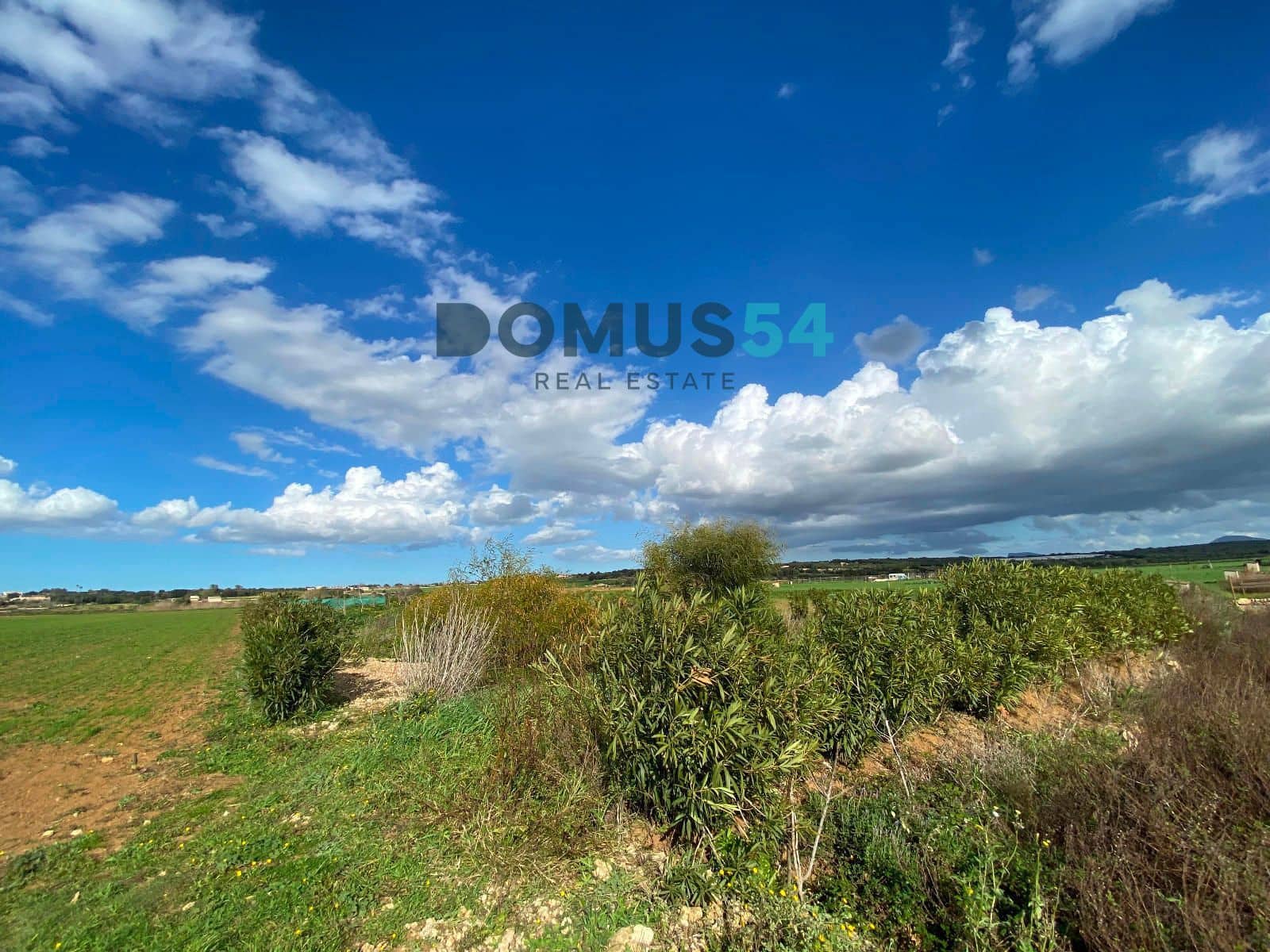 Grunde uden byggetilladelser til salg i Ariany - € 17.000 (Ref: 8800312)