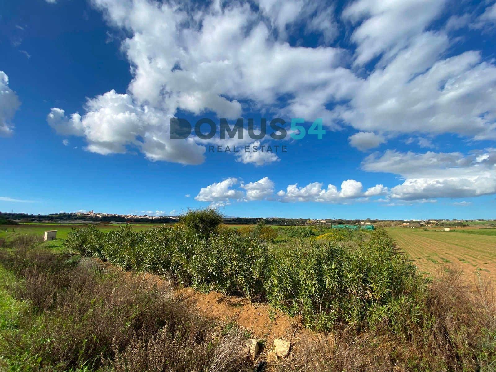 Grunde uden byggetilladelser til salg i Ariany - € 17.000 (Ref: 8800312)