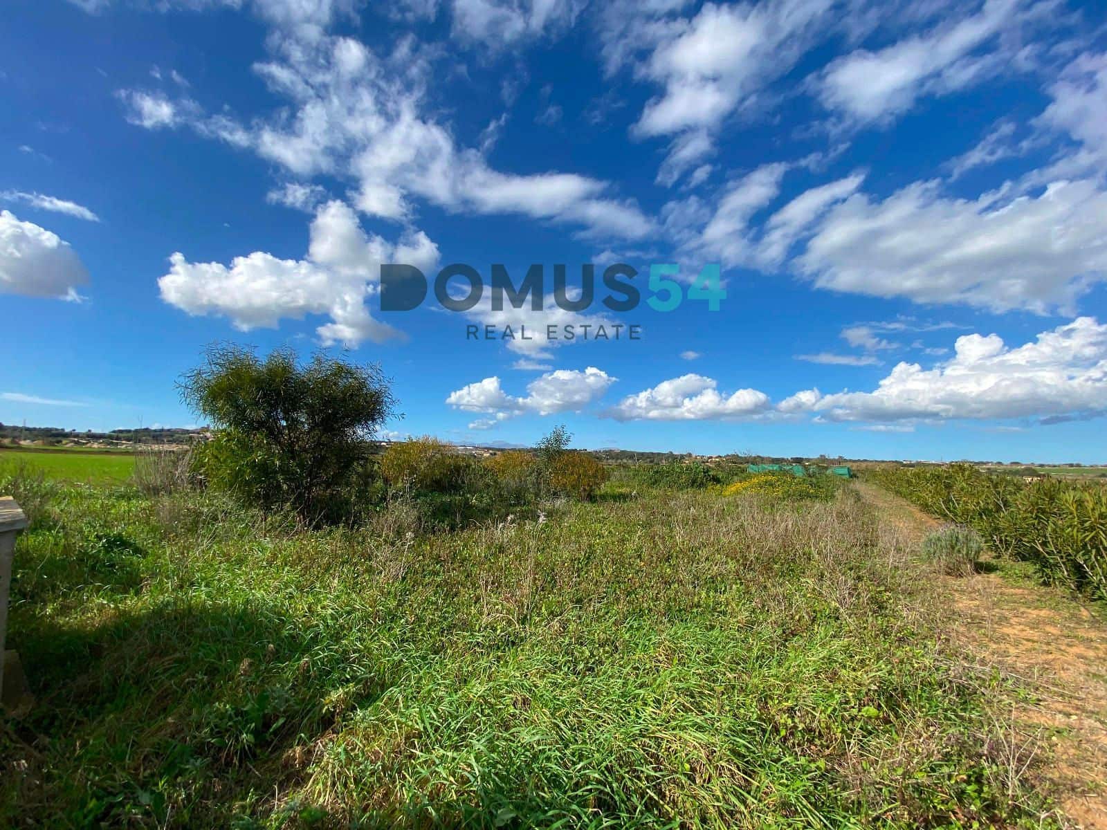 Grunde uden byggetilladelser til salg i Ariany - € 17.000 (Ref: 8800312)