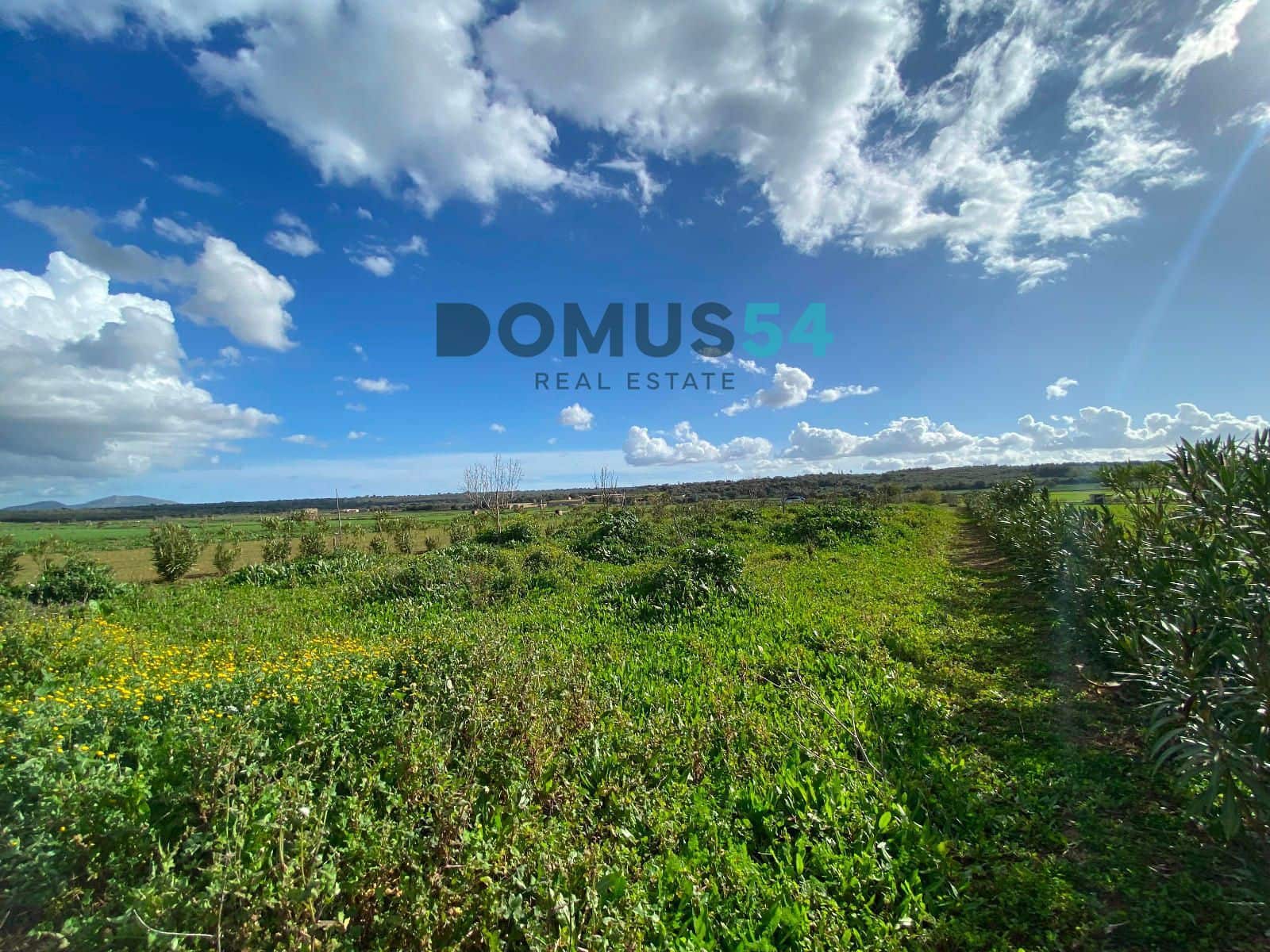 Grunde uden byggetilladelser til salg i Ariany - € 17.000 (Ref: 8800312)