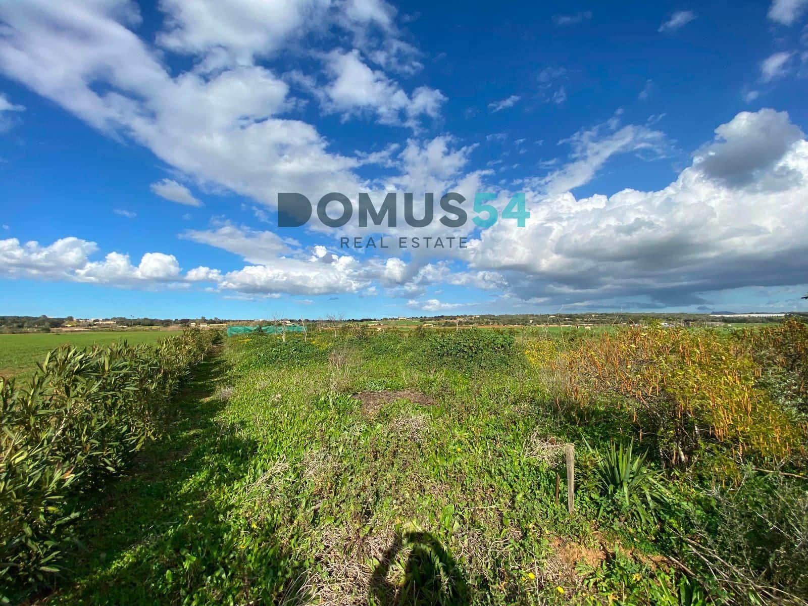 Grunde uden byggetilladelser til salg i Ariany - € 17.000 (Ref: 8800312)