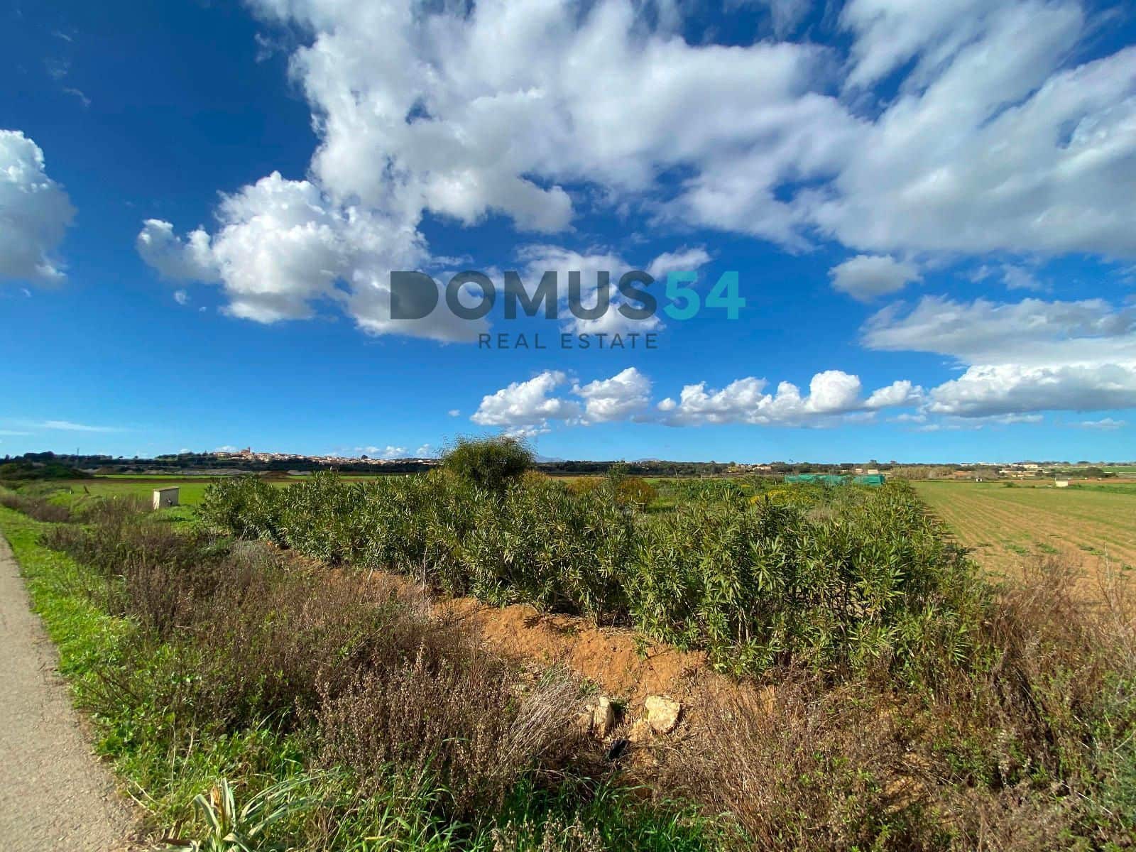 Grunde uden byggetilladelser til salg i Ariany - € 17.000 (Ref: 8800312)