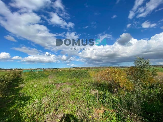 Mark till salu i Ariany - 17 000 € (Ref: 8800312)