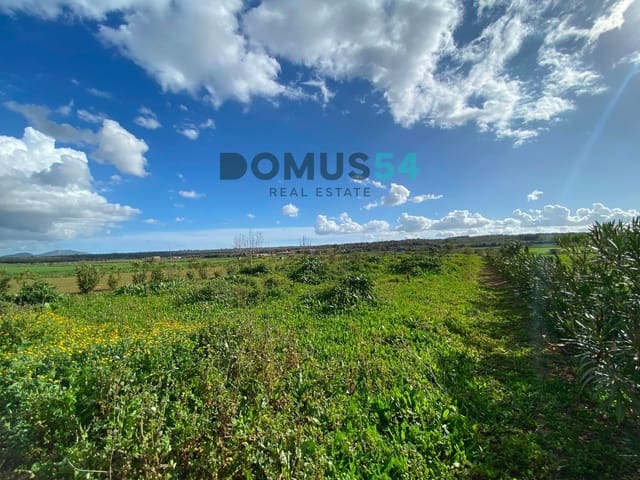 Mark till salu i Ariany - 17 000 € (Ref: 8800312)