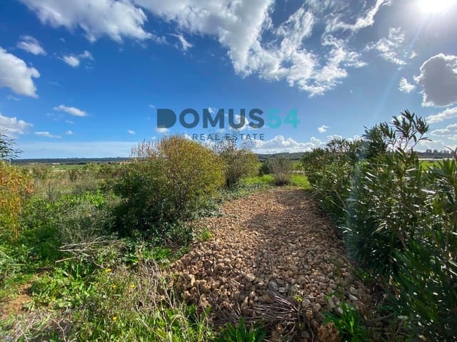 Mark till salu i Ariany - 17 000 € (Ref: 8800312)