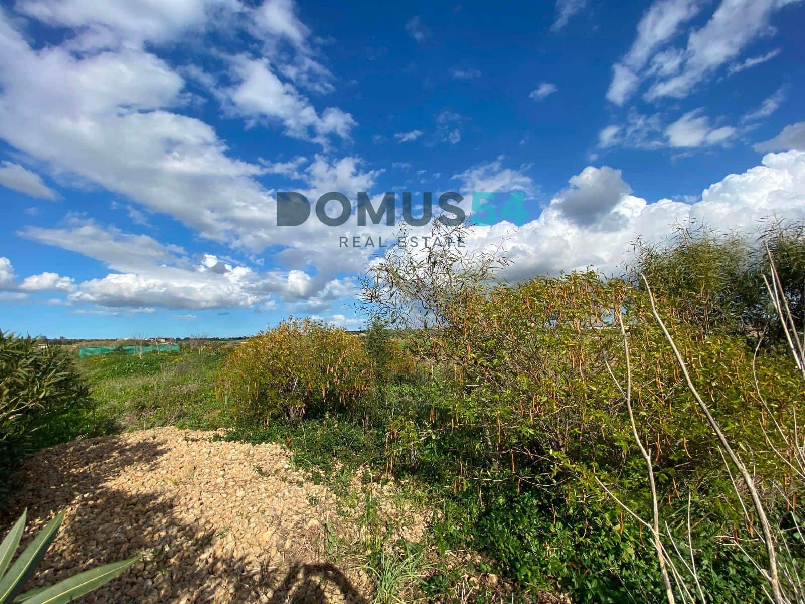 Grunde uden byggetilladelser til salg i Ariany - € 17.000 (Ref: 8800312)